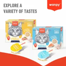 بستنی قاشقی گربه ونپی طعم ماهی سالمون 16 گرمی