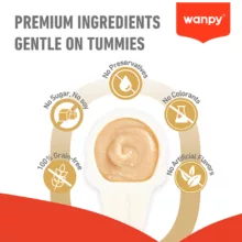 بستنی قاشقی گربه ونپی طعم مرغ 16 گرمی